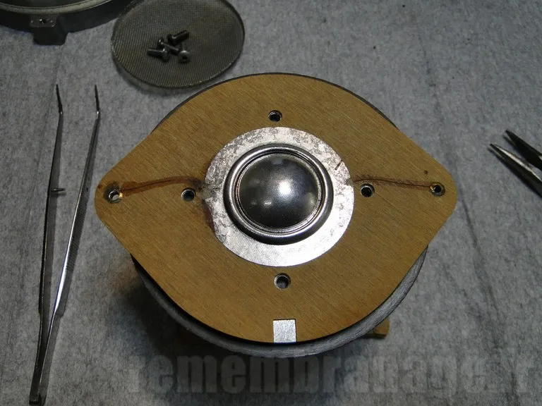 Diaphragme usé sur tweeter JBL 044