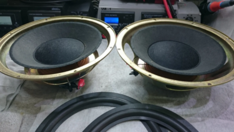 Réparation haut-parleur BOSE 301