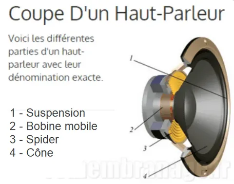 La coupe d'un haut-parleur, les termes exacts